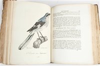 Lot 97 - Roux, Jean Louis Florent Polydore
