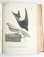 Lot 97 - Roux, Jean Louis Florent Polydore