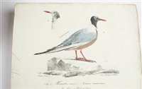 Lot 97 - Roux, Jean Louis Florent Polydore