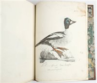 Lot 97 - Roux, Jean Louis Florent Polydore