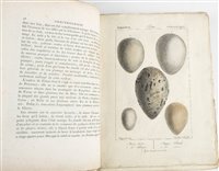 Lot 97 - Roux, Jean Louis Florent Polydore
