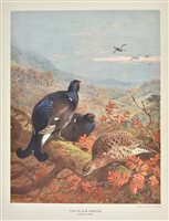 Lot 84 - Millais, John Guille