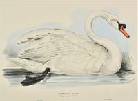 Lot 282 - Lear, Edward