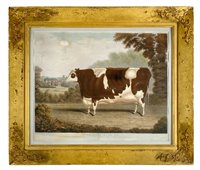 Lot 138 - Reeve, Richard Gilson, 1803-1889
