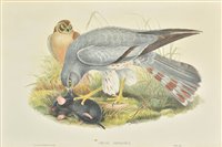 Lot 274 - Gould, John and Richter, H.C.