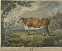 Lot 137 - Pollard, Robert