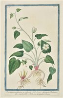 Lot 266 - Bonelli, Giorgio